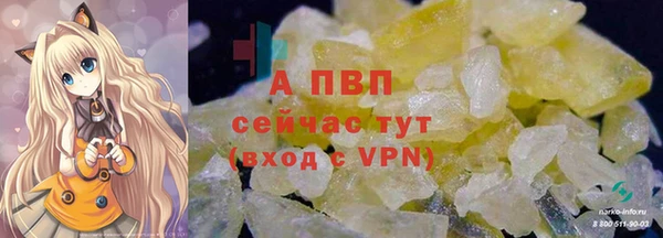 шишки Мегион