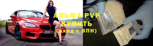 шишки Мегион