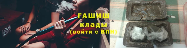 шишки Мегион