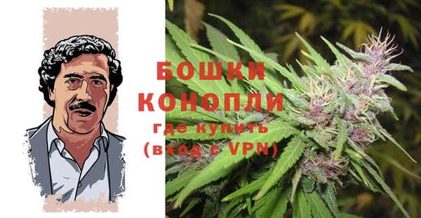 шишки Мегион