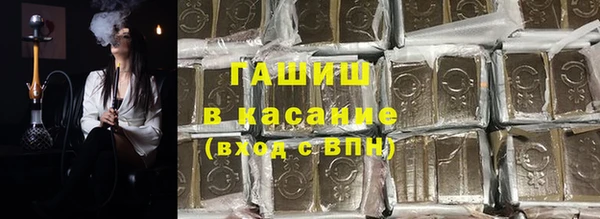 шишки Мегион