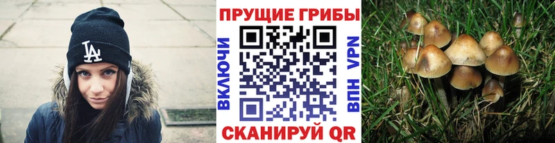 Галлюциногенные грибы мухоморы  Дмитров 