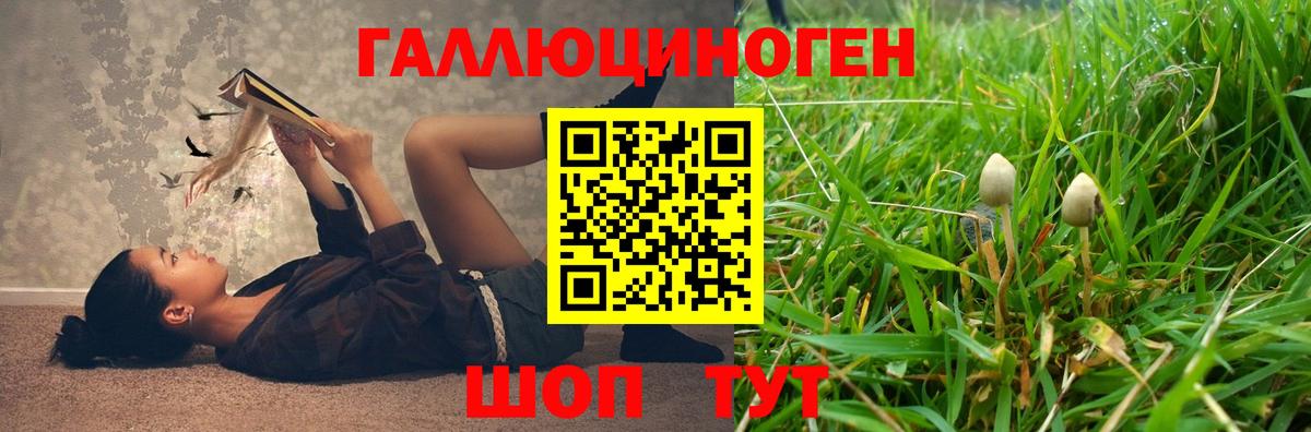 Псилоцибиновые грибы GOLDEN TEACHER  Вход с VPN  Галлюциногенные грибы мухоморы  Дмитров 