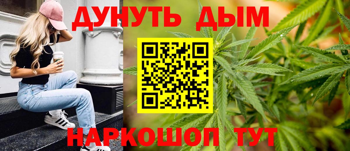 Каннабис план Дмитров